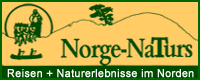 Norgetours